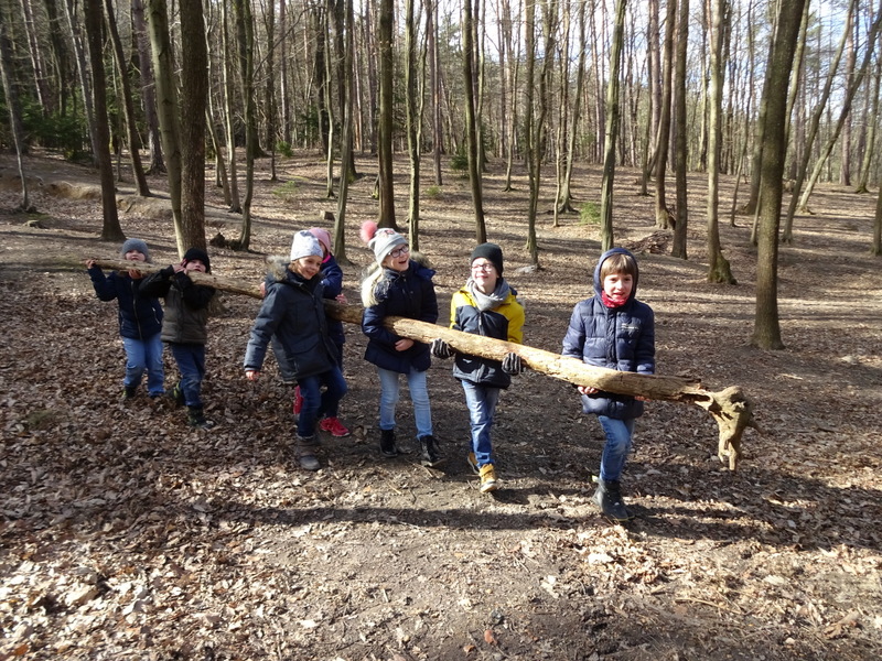 15.03.2019 - Werkstatt Natur - 2a, 2b, 2c